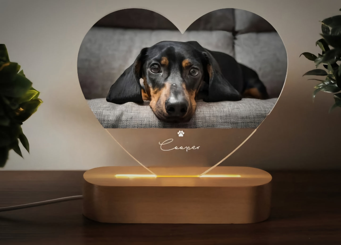 Lámpara Corazón Mascota Personalizada